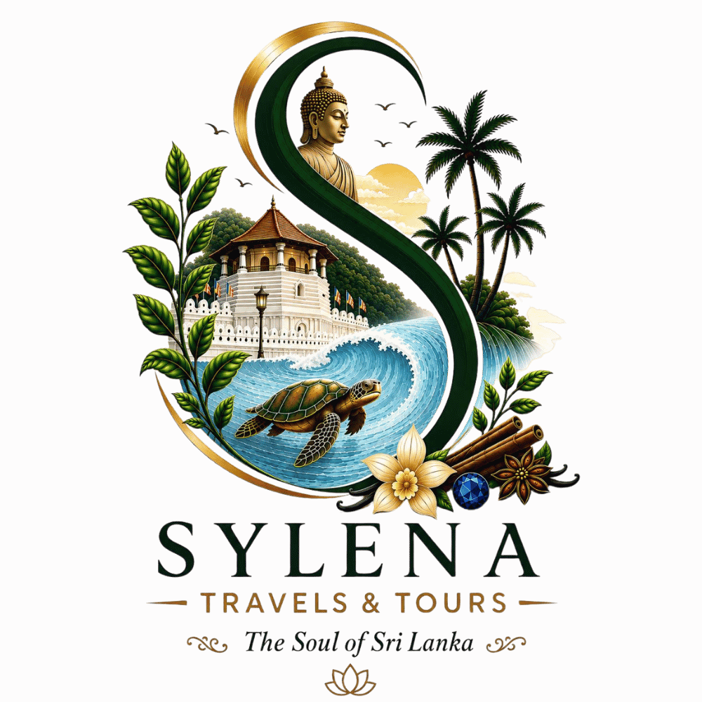 Sylena Tours